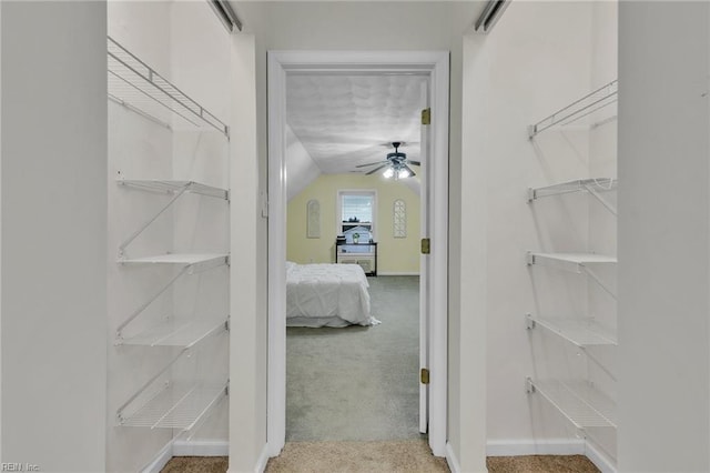 walk in closet featuring ceiling fan, carpet flooring, and vaulted ceiling