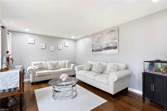 living room featuring dark wood-type flooring