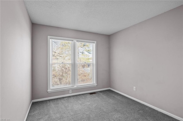 empty room with carpet flooring and a textured ceiling