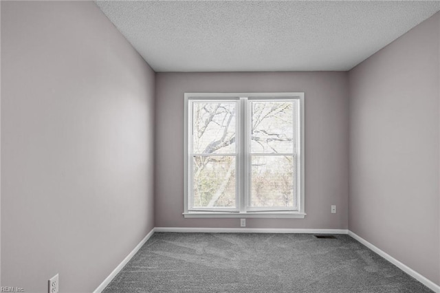 carpeted spare room featuring plenty of natural light and a textured ceiling