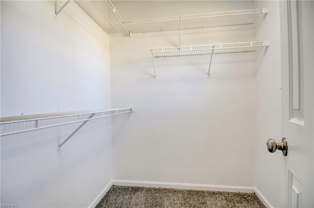 spacious closet with carpet floors