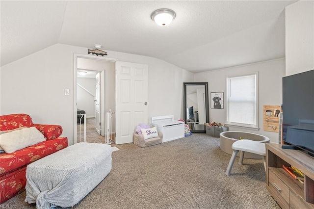 interior space with lofted ceiling, carpet, and a textured ceiling