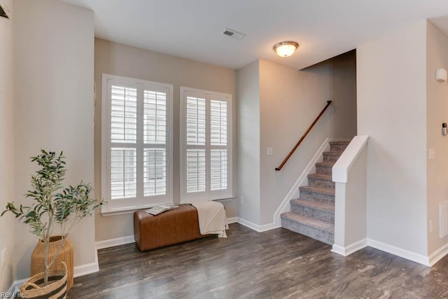 foyer with dark wood-type flooring and plenty of natural light