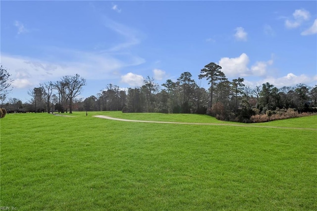 view of community featuring a yard