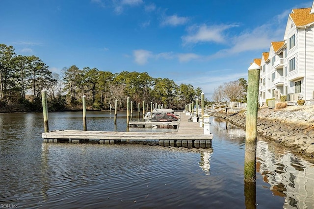 dock area featuring a water view