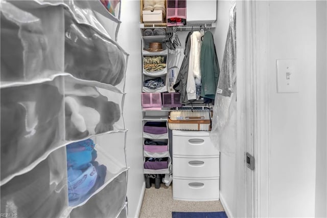 view of walk in closet