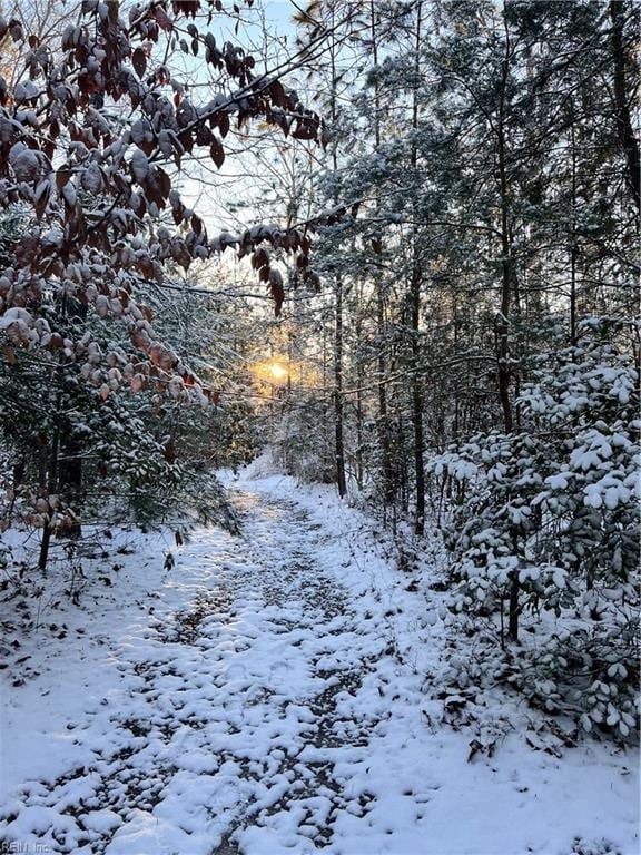 view of snowy landscape