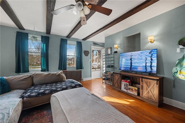 living room with ceiling fan, radiator heating unit, beam ceiling, and hardwood / wood-style floors