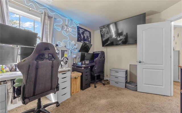 office space with carpet floors