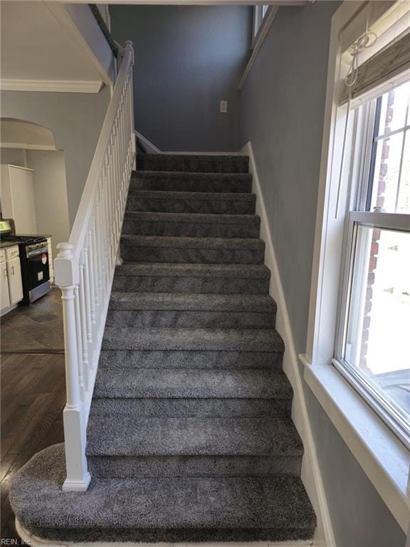 staircase featuring hardwood / wood-style flooring and ornamental molding