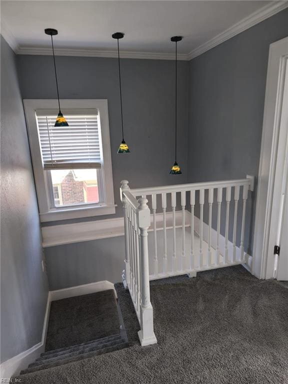 stairs featuring crown molding and carpet