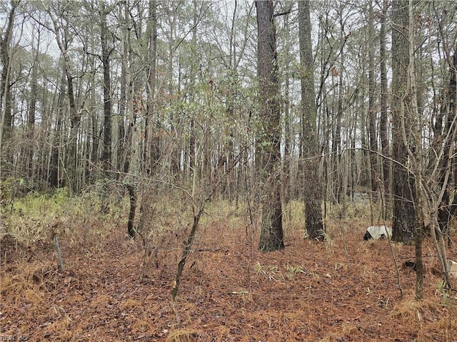 view of local wilderness