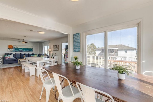 dining area with light wood-type flooring and ceiling fan