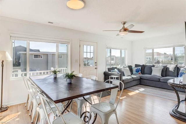 dining area with ceiling fan and light hardwood / wood-style floors