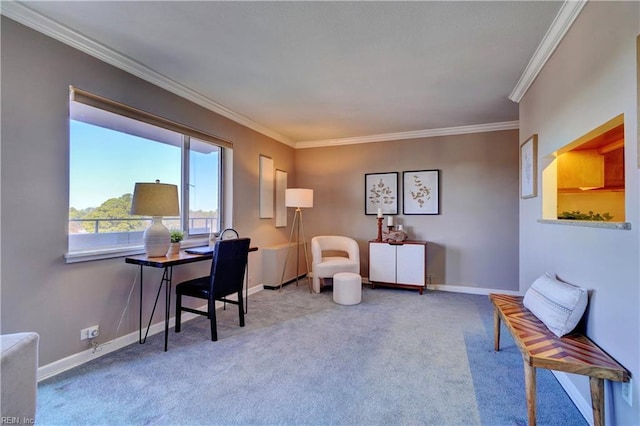 office space with carpet flooring and crown molding