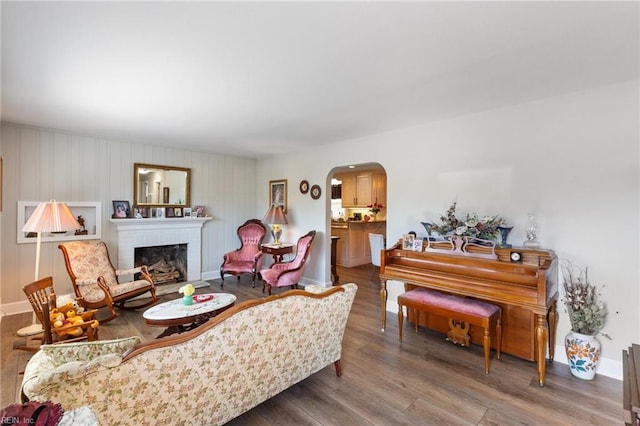 living room featuring wood-type flooring and a fireplace