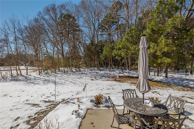 view of yard covered in snow