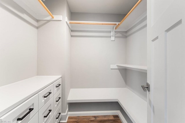 walk in closet featuring wood-type flooring