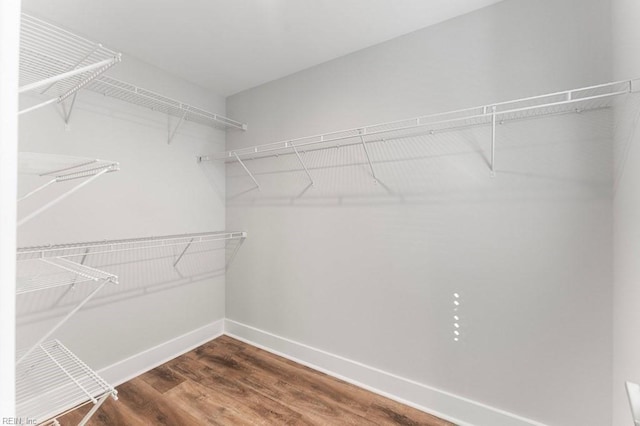 walk in closet with wood-type flooring