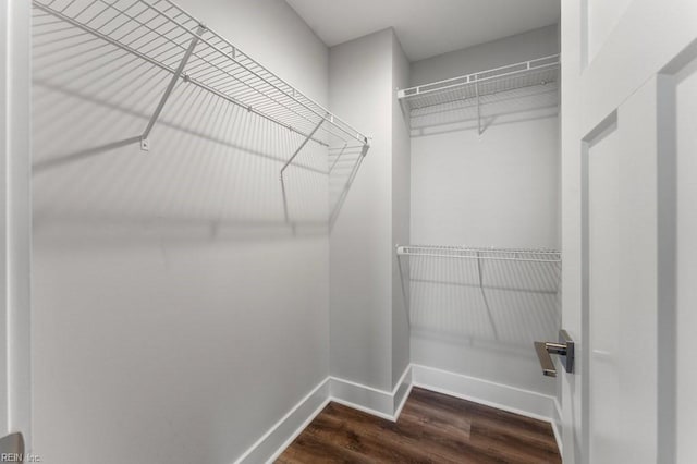 walk in closet with dark hardwood / wood-style floors