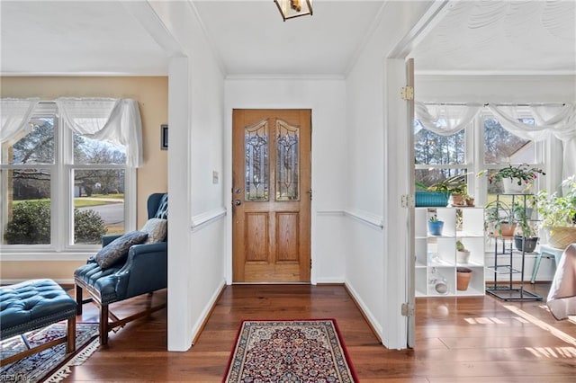 foyer featuring dark wood-type flooring, crown molding, and a healthy amount of sunlight