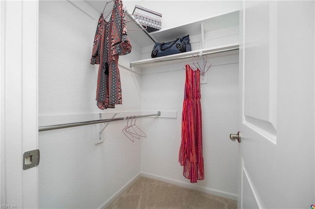 walk in closet featuring light colored carpet