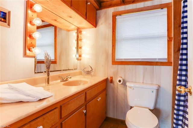 bathroom with toilet and vanity