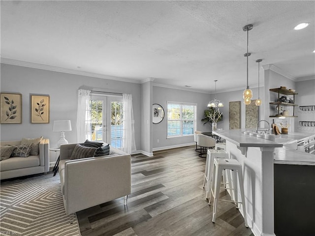 living room featuring sink, a textured ceiling, dark hardwood / wood-style floors, crown molding, and french doors