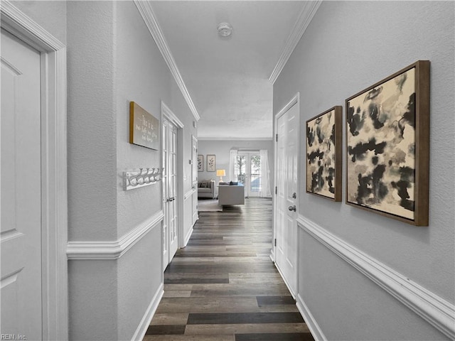 corridor featuring ornamental molding and dark hardwood / wood-style floors