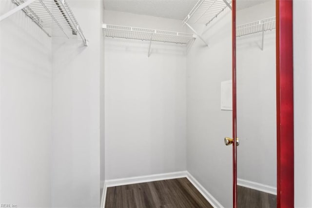 walk in closet with dark wood-type flooring