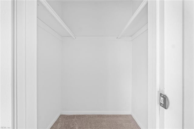 walk in closet with light carpet