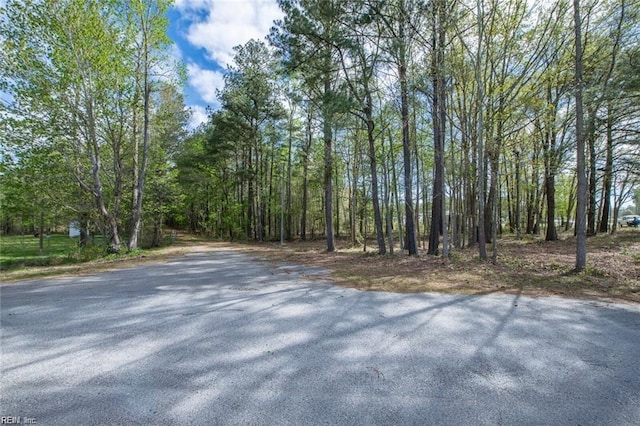 0 Brewers Neck Blvd, Carrollton VA 23430 LAND for sale