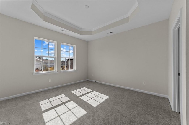 spare room featuring a raised ceiling, crown molding, and carpet flooring