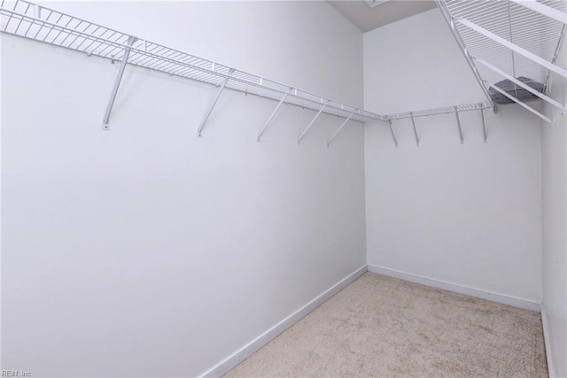 spacious closet featuring light colored carpet