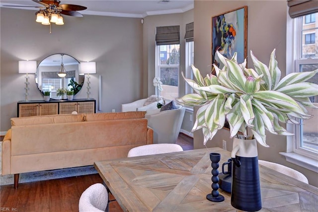 dining space featuring ceiling fan, ornamental molding, and dark wood-type flooring