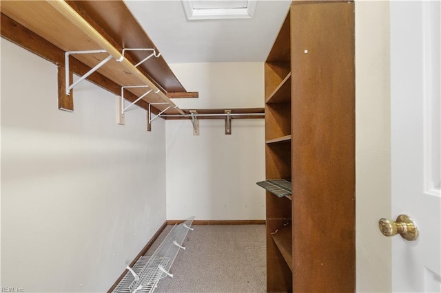 spacious closet with light carpet