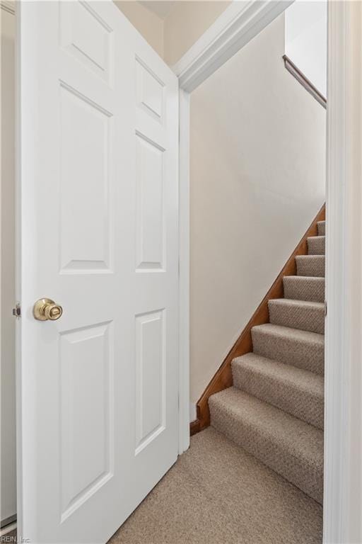 stairway with carpet floors