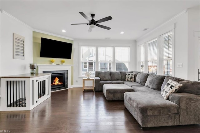 living room featuring ornamental molding, a healthy amount of sunlight, a lit fireplace, and dark wood-style floors