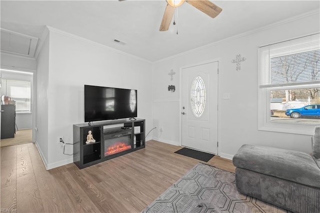 living room with ceiling fan, ornamental molding, hardwood / wood-style flooring, and a healthy amount of sunlight
