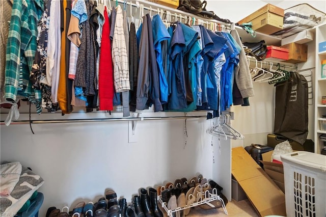 view of spacious closet