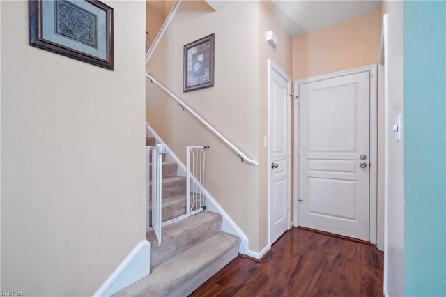 stairway with baseboards and wood finished floors