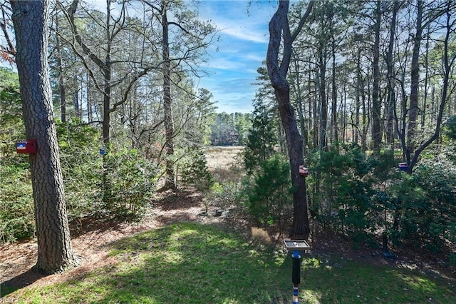 view of yard with a wooded view