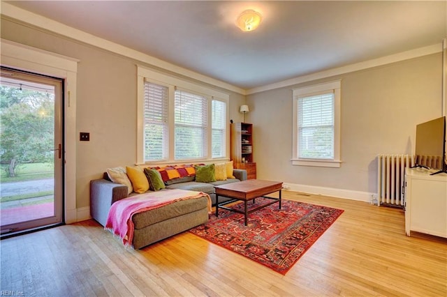 living area with radiator, plenty of natural light, and wood finished floors