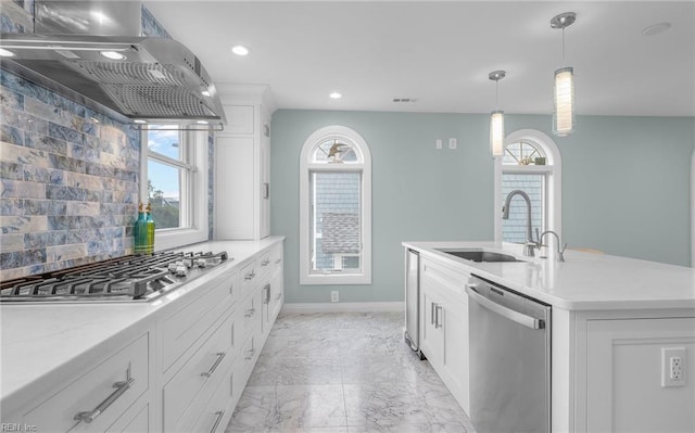 kitchen with extractor fan, stainless steel appliances, a sink, marble finish floor, and a wealth of natural light