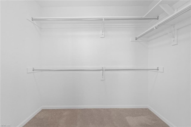 spacious closet with carpet