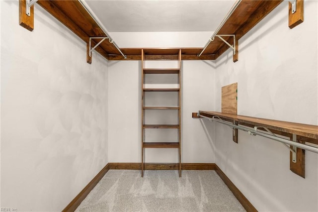 walk in closet featuring carpet floors