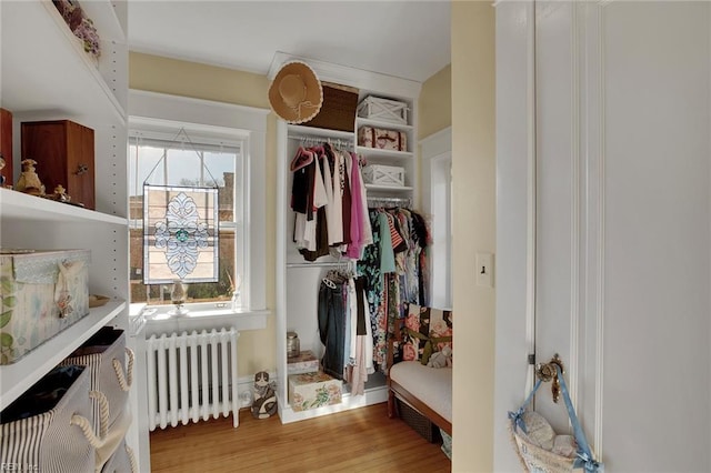 interior space featuring light wood-style floors and radiator