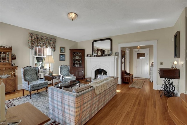 living area with a fireplace, wood finished floors, and baseboards