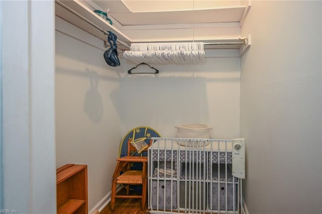 walk in closet featuring wood finished floors