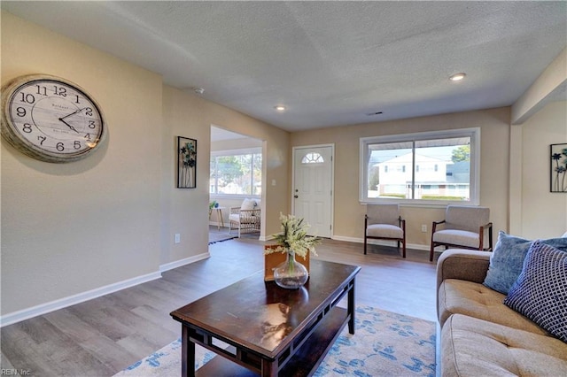 living area featuring plenty of natural light, wood finished floors, and baseboards